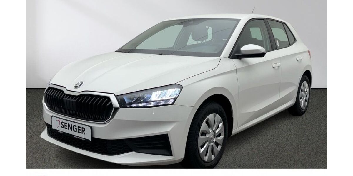 Skoda Fabia 21.671 km 14.880 &euro; Emsdetten 48282