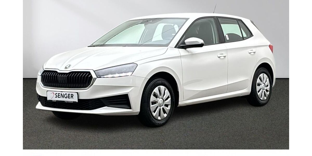 Skoda Fabia 22.500 km 18.880 &euro; Emsdetten 48282