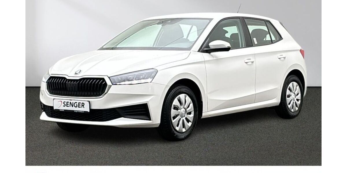 Skoda Fabia 25.400 km 18.880 &euro; Emsdetten 48282