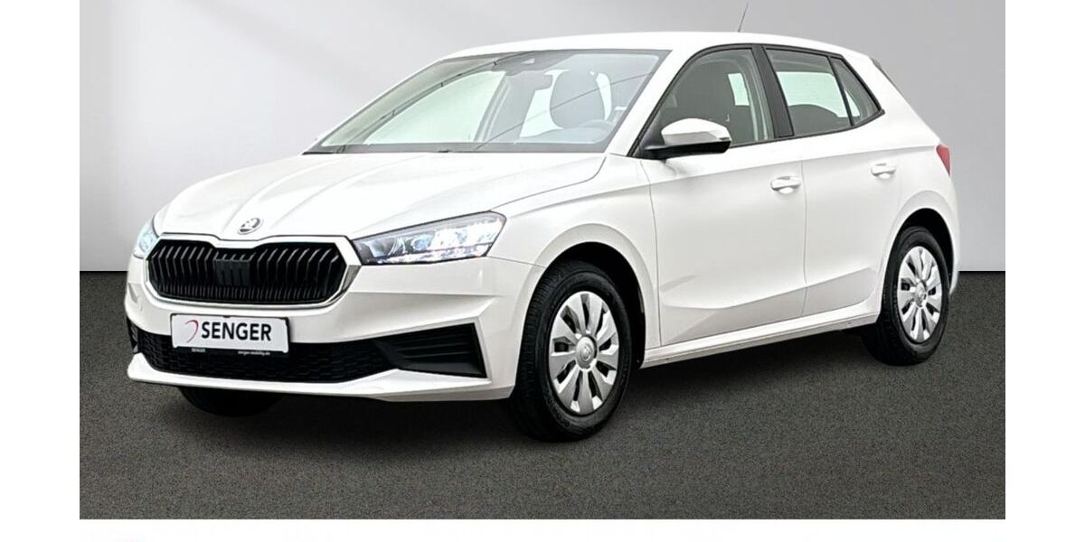 Skoda Fabia 33.235 km 17.980 &euro; Emsdetten 48282