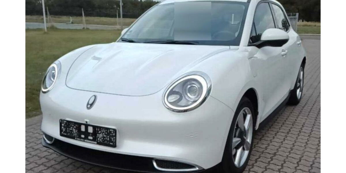 GWM Ora 03 14.000 km 14.690 &euro; Greven 48268