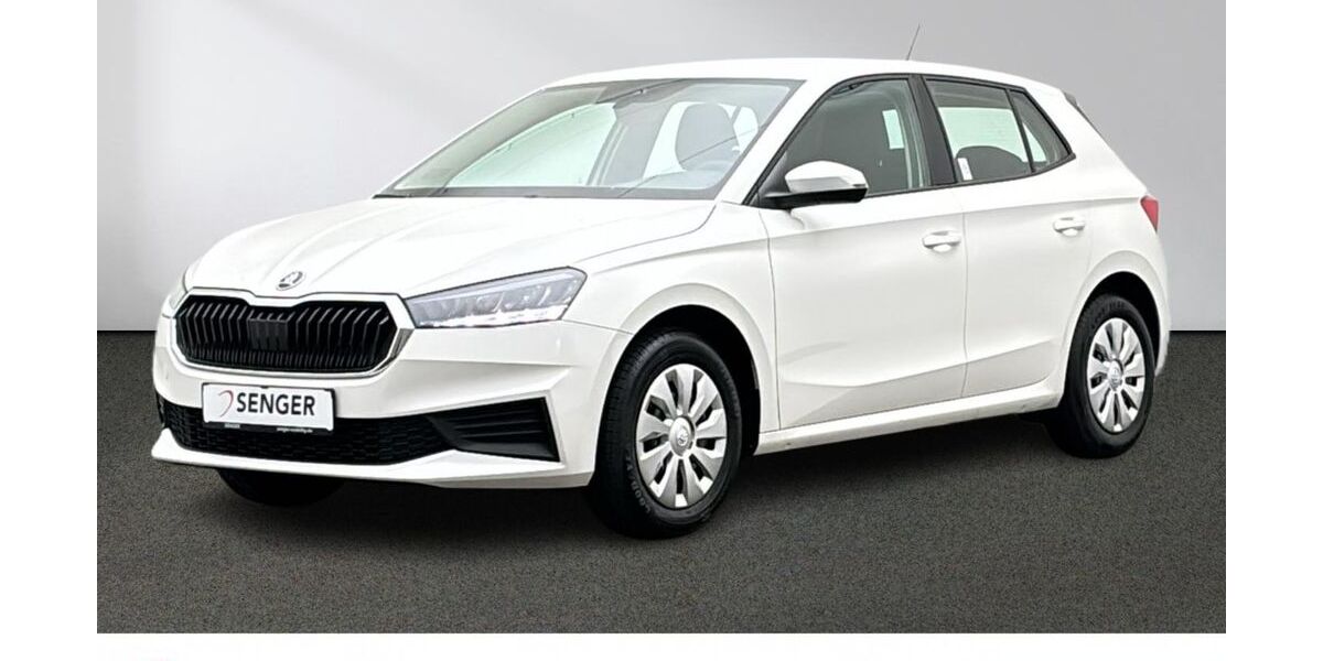 Skoda Fabia 14.215 km 14.880 &euro; Emsdetten 48282