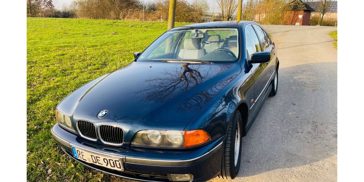 BMW 523 372.000 km 2.990 &euro; Münster 48161