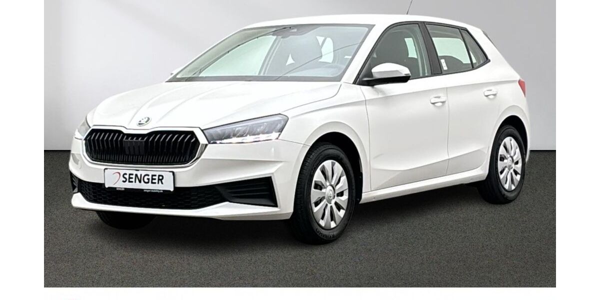 Skoda Fabia 21.490 km 14.680 &euro; Emsdetten 48282