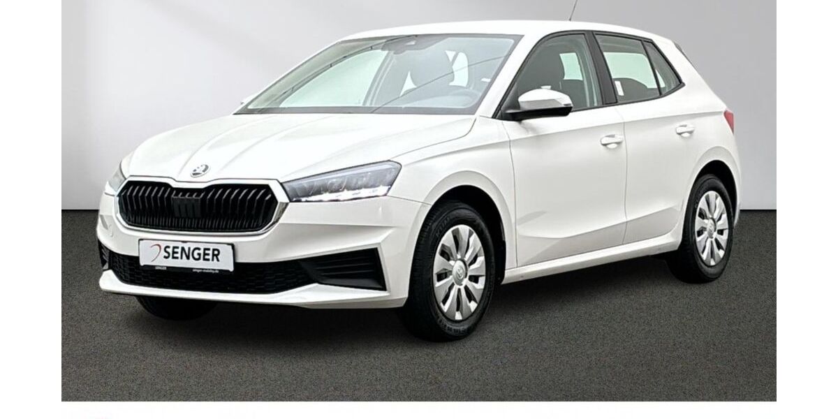 Skoda Fabia 20.052 km 14.880 &euro; Emsdetten 48282