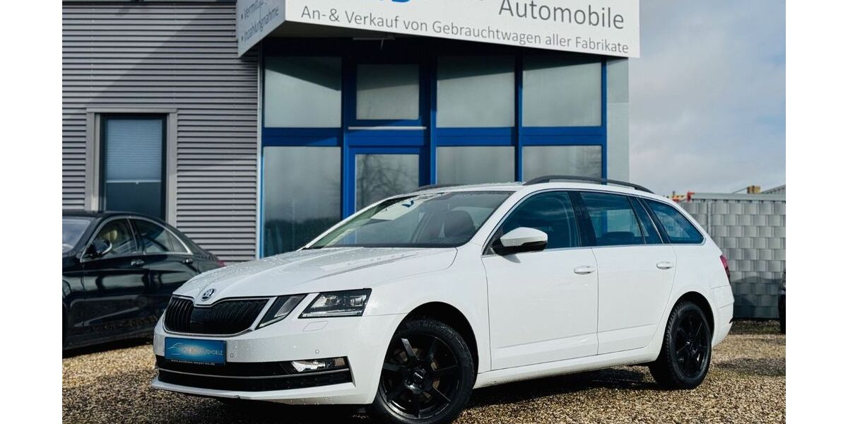 Skoda Octavia 166.249 km 12.500 &euro; Nottuln 48301