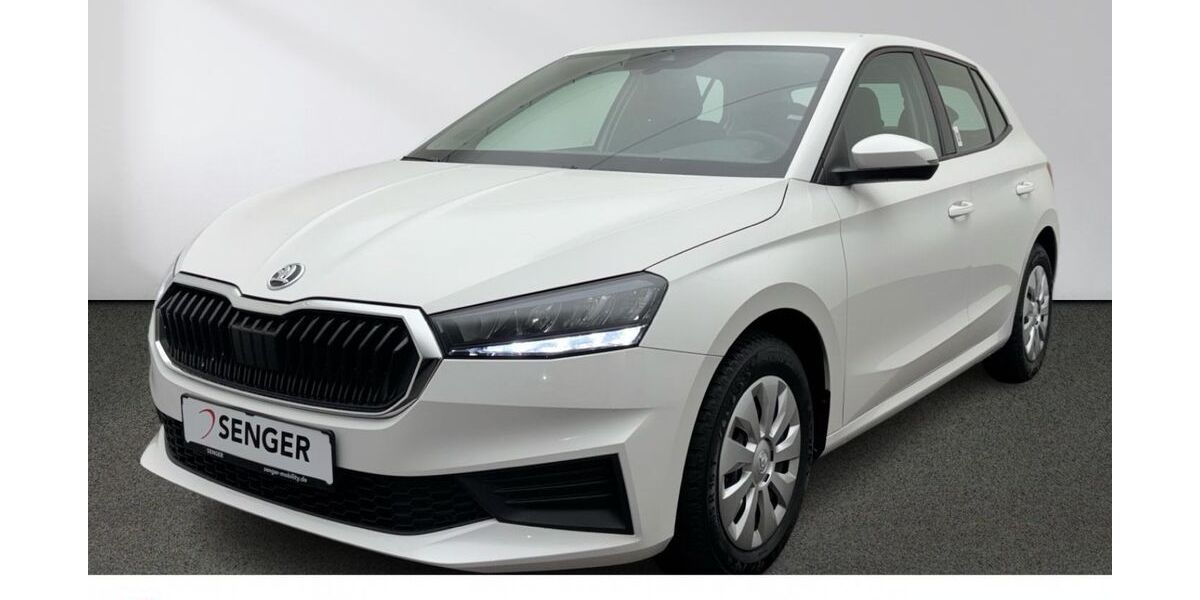 Skoda Fabia 24.441 km 14.880 &euro; Emsdetten 48282